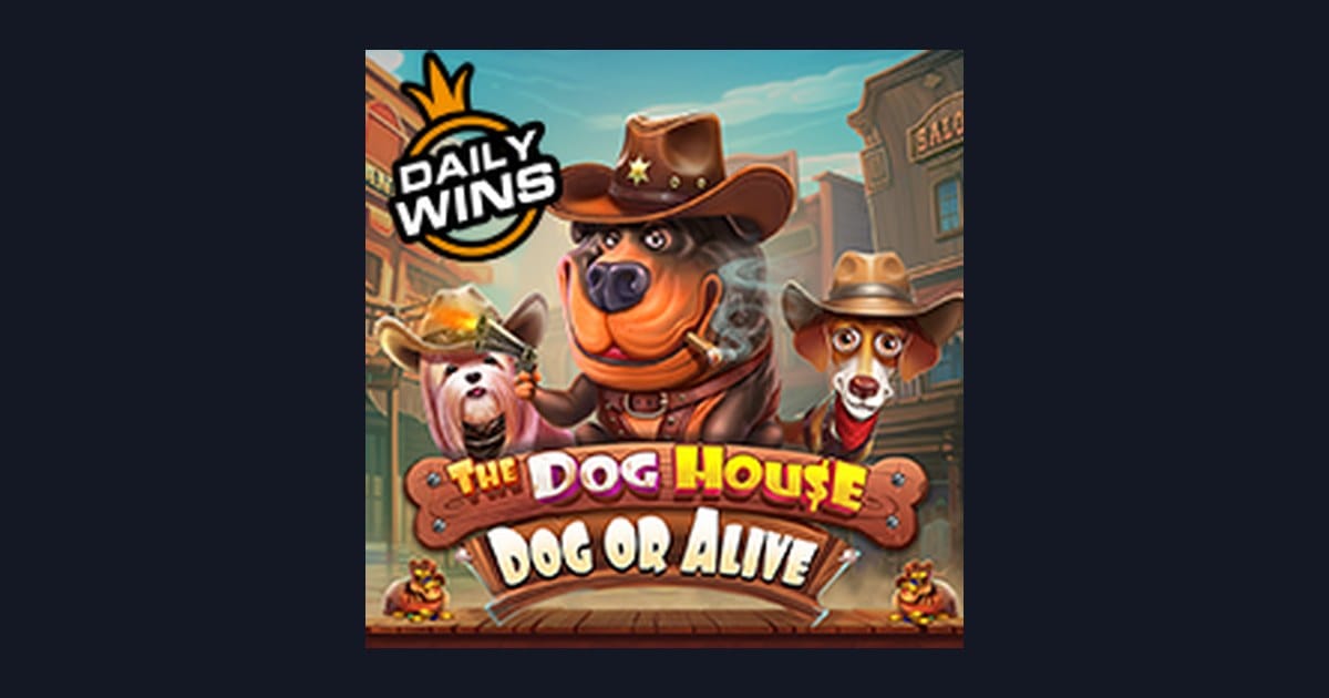 Nikmati Sensasi Slot Anti Rungkad The Dog House Dog Or Alive dari Pragmatic Play